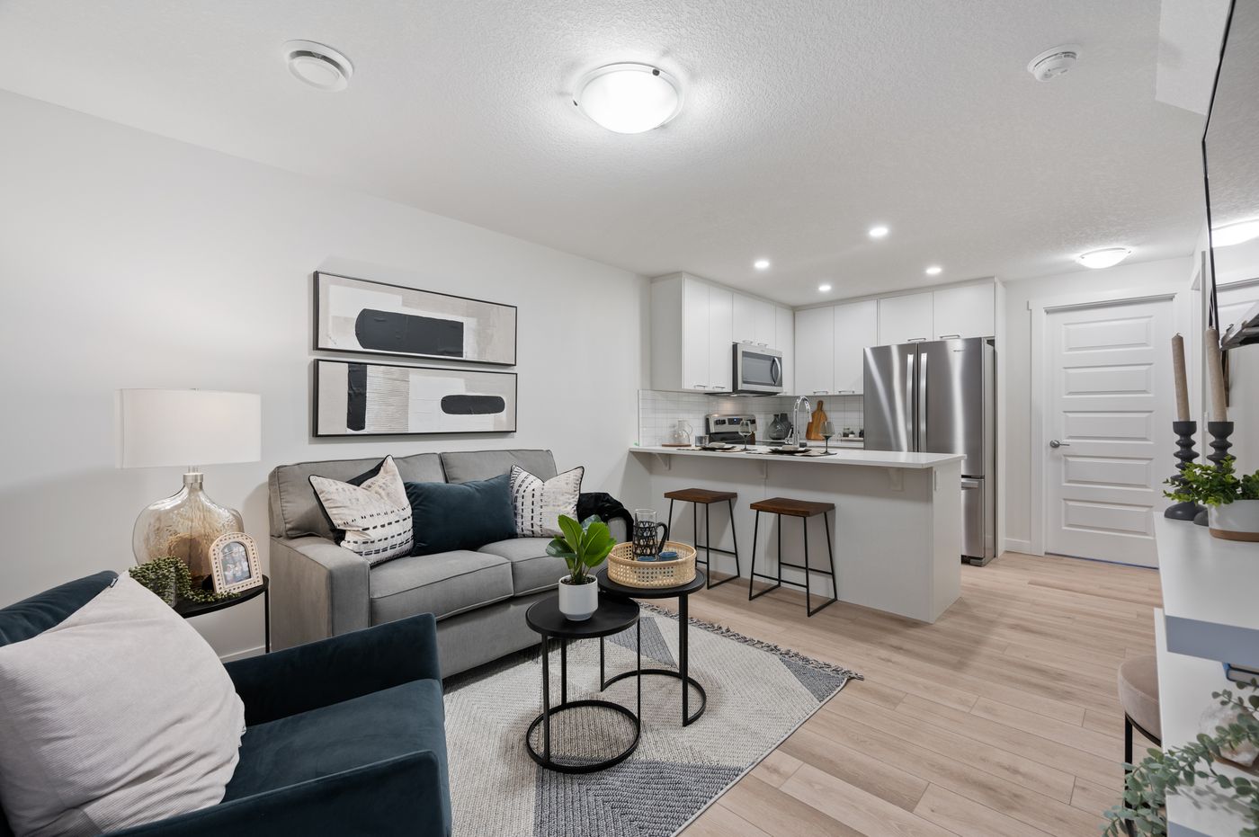 Lower suite living room and kitchen